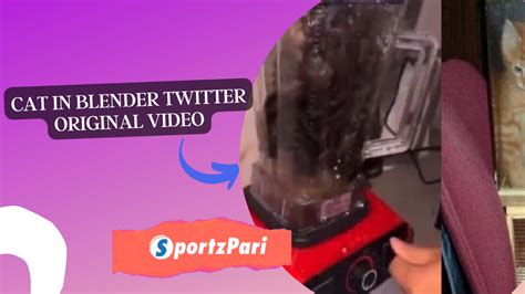 cat in blender twitter original video